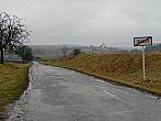 Třibřichy